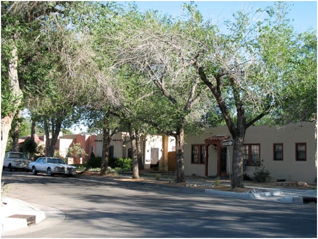 Houses on tree-lined street in Raynolds Addition